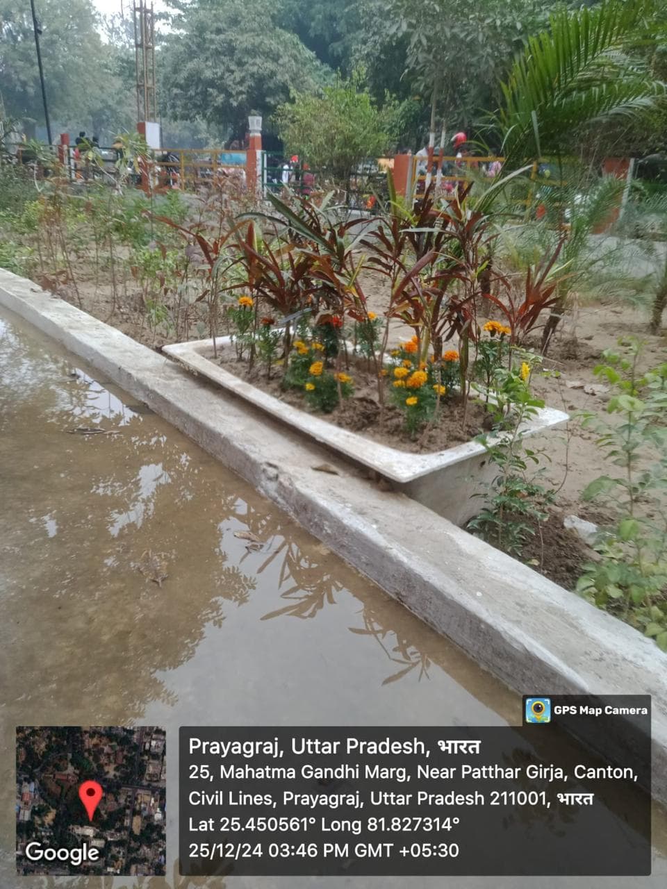 Planted flower bed with marigolds