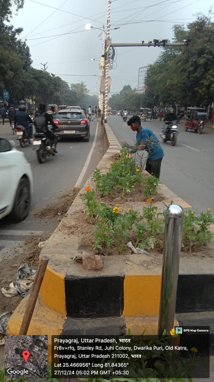 Worker planting in road median greenbelt