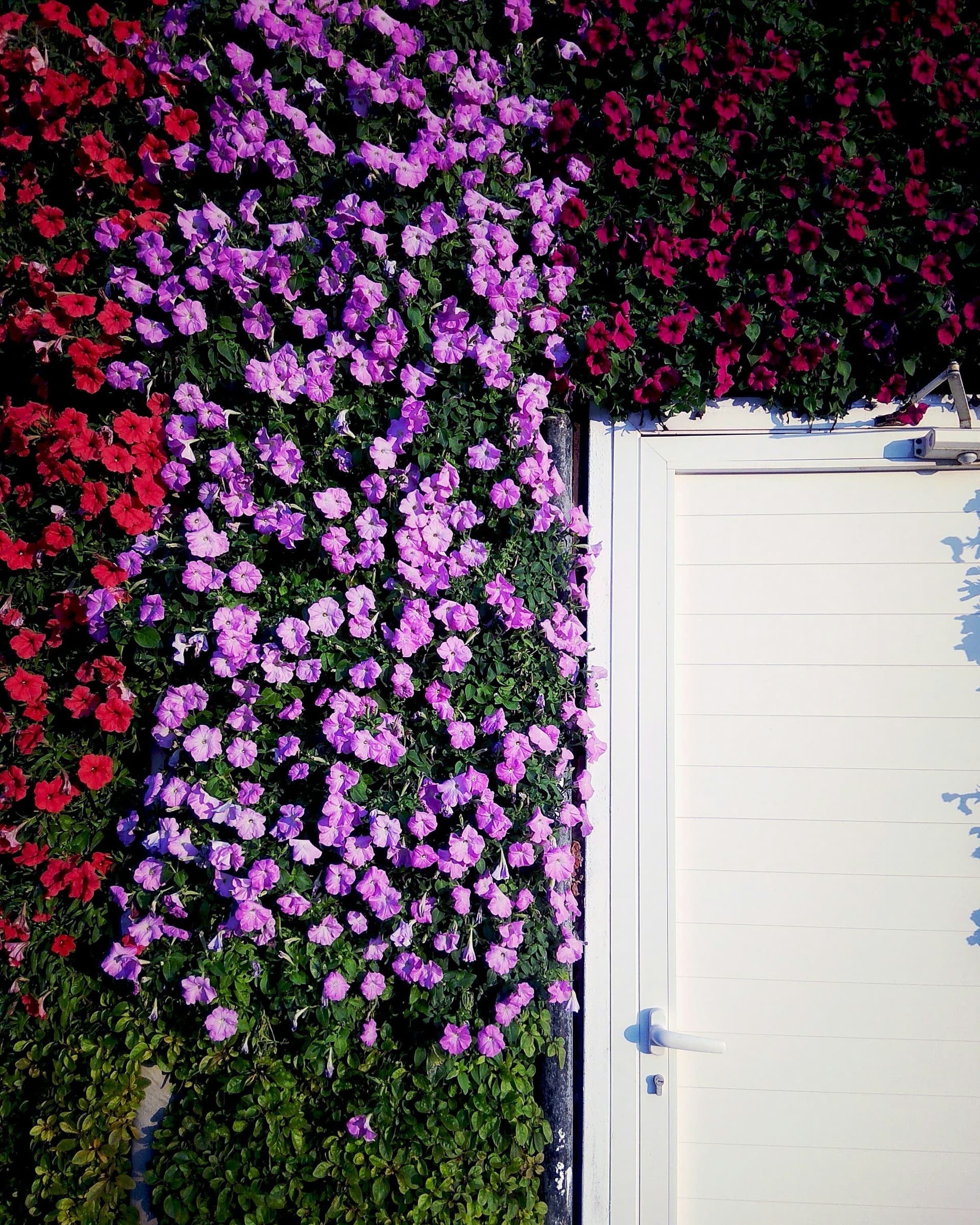 Dubai, UAE — Door to heaven